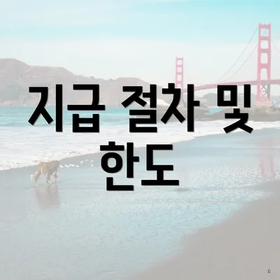 지급 절차 및 한도