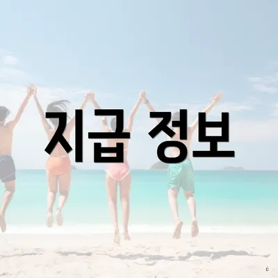 지급 정보