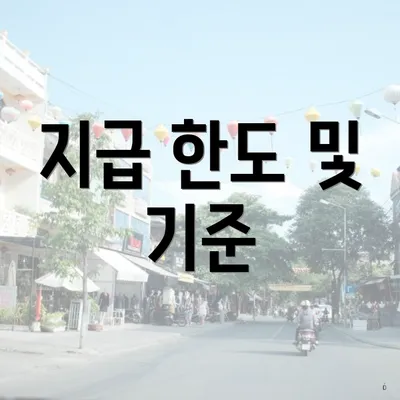 지급 한도 및 기준
