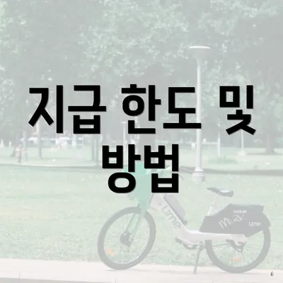 지급 한도 및 방법