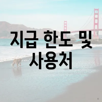 지급 한도 및 사용처