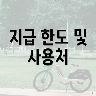 지급 한도 및 사용처
