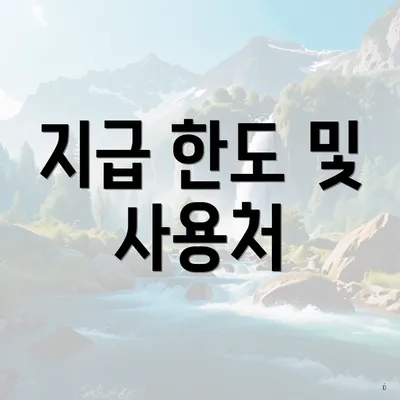 지급 한도 및 사용처