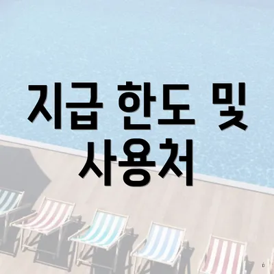 지급 한도 및 사용처