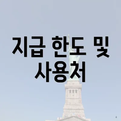 지급 한도 및 사용처