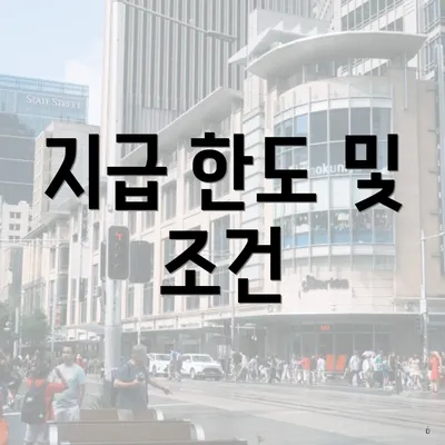 지급 한도 및 조건