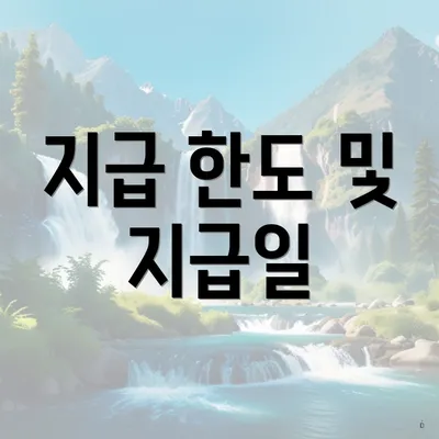 지급 한도 및 지급일