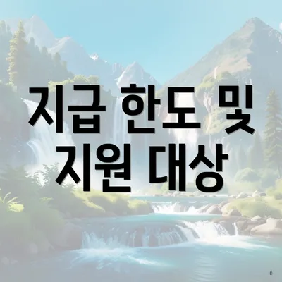 지급 한도 및 지원 대상