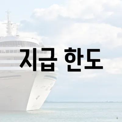 지급 한도