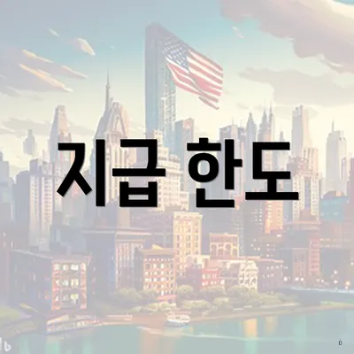 지급 한도