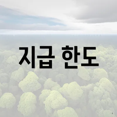 지급 한도