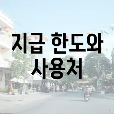 지급 한도와 사용처