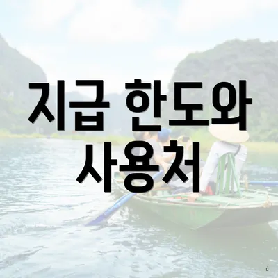 지급 한도와 사용처