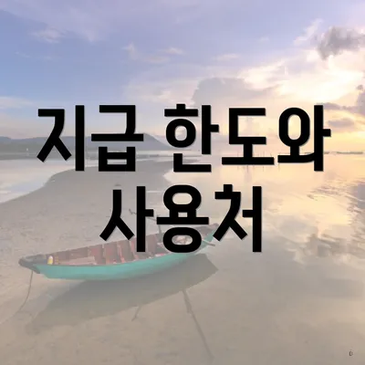 지급 한도와 사용처