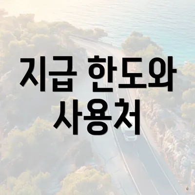 지급 한도와 사용처