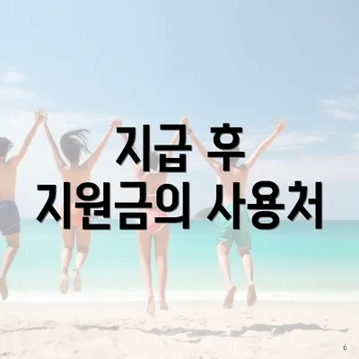 지급 후 지원금의 사용처