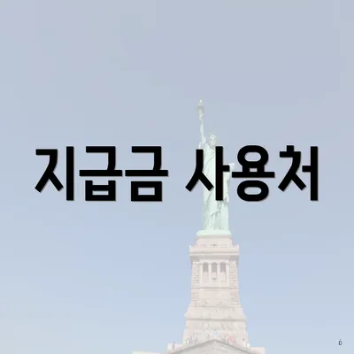 지급금 사용처