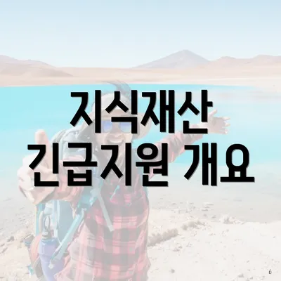 지식재산 긴급지원 개요