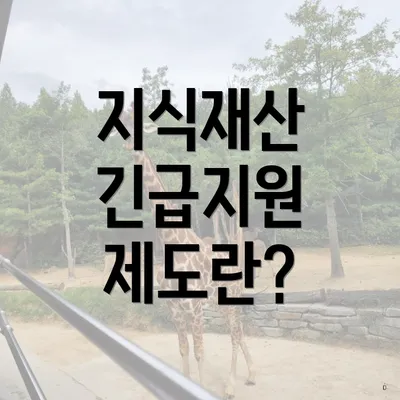 지식재산 긴급지원 제도란?