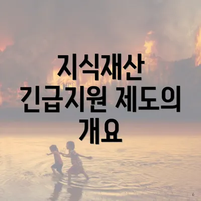 지식재산 긴급지원 제도의 개요
