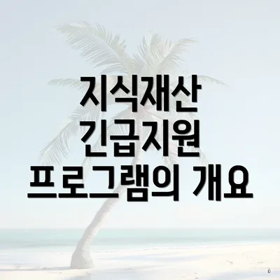 지식재산 긴급지원 프로그램의 개요