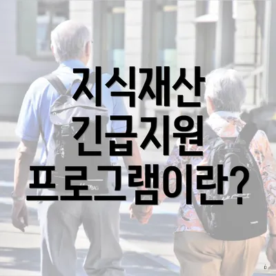 지식재산 긴급지원 프로그램이란?