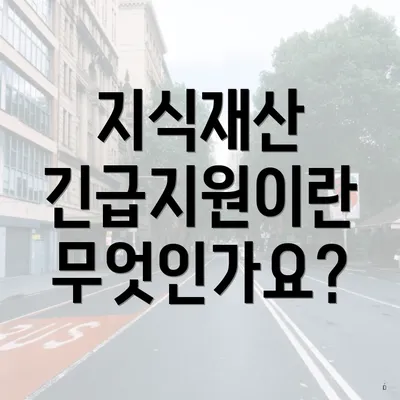 지식재산 긴급지원이란 무엇인가요?