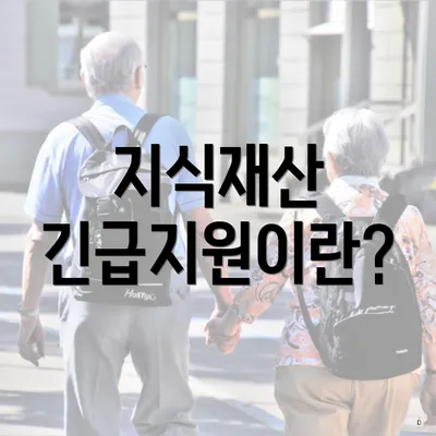 지식재산 긴급지원이란?