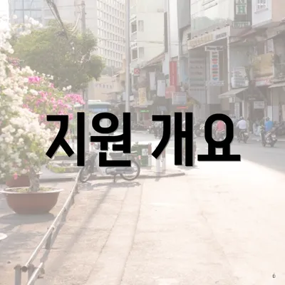 지원 개요