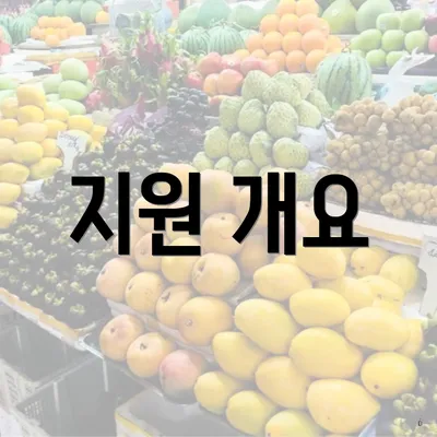 지원 개요