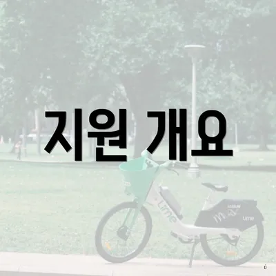 지원 개요