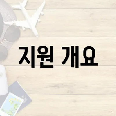 지원 개요