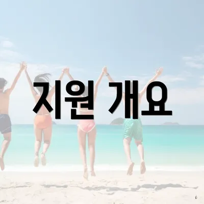 지원 개요