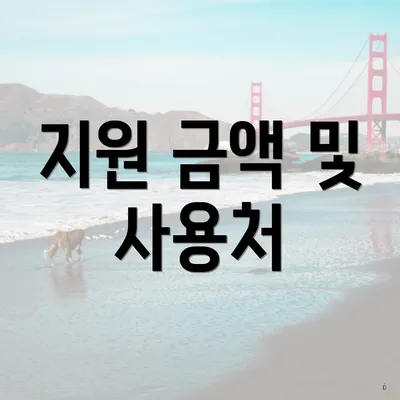 지원 금액 및 사용처