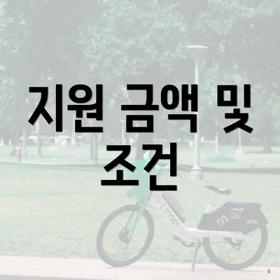 지원 금액 및 조건