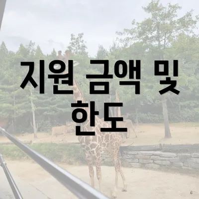 지원 금액 및 한도