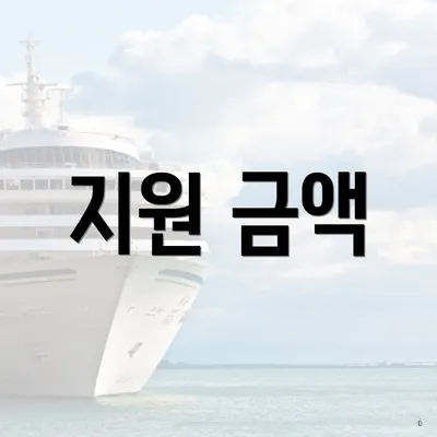 지원 금액