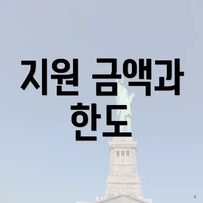 지원 금액과 한도