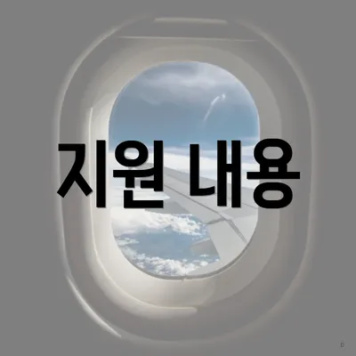 지원 내용