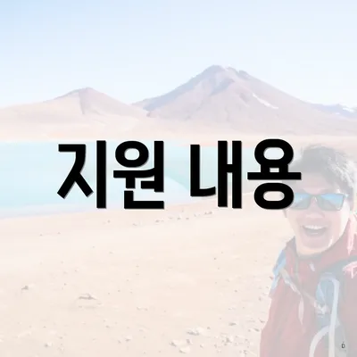 지원 내용