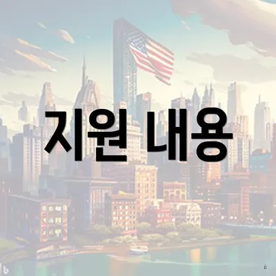 지원 내용