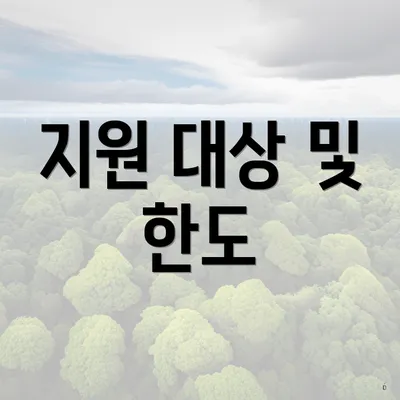지원 대상 및 한도