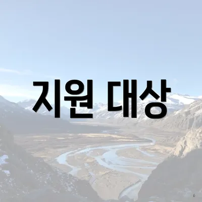지원 대상