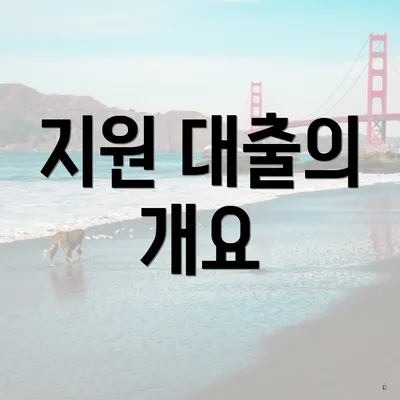지원 대출의 개요