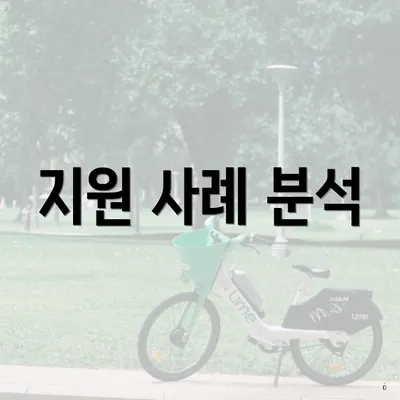 지원 사례 분석