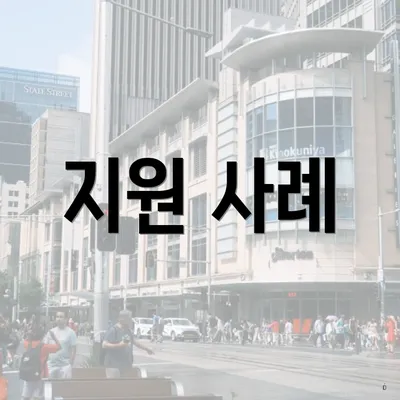 지원 사례