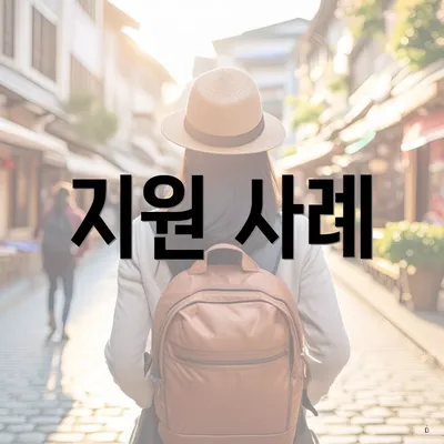 지원 사례