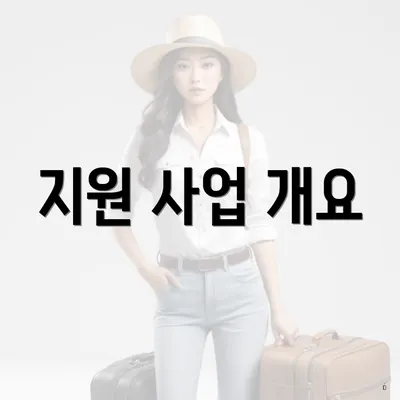 지원 사업 개요