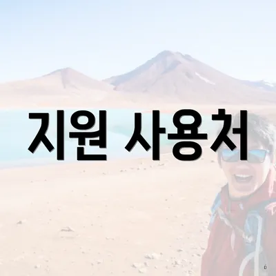 지원 사용처