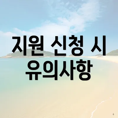 지원 신청 시 유의사항